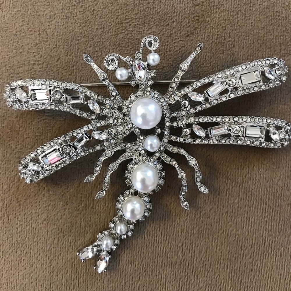 Dragonfly brooch.